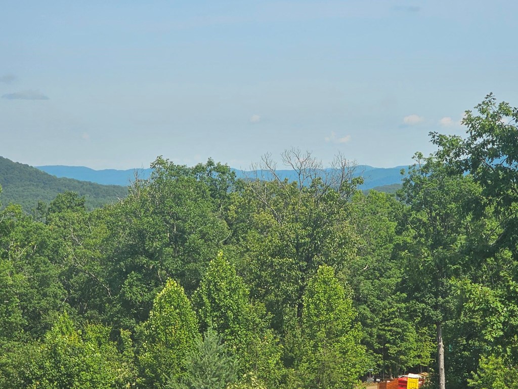 31 Acres Upper Bear Paw Road Property Photo 7