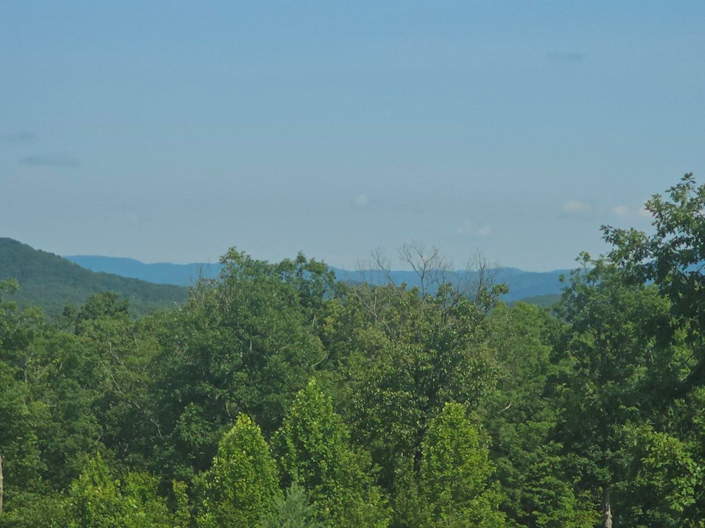 31 Acres Upper Bear Paw Road Property Photo 8