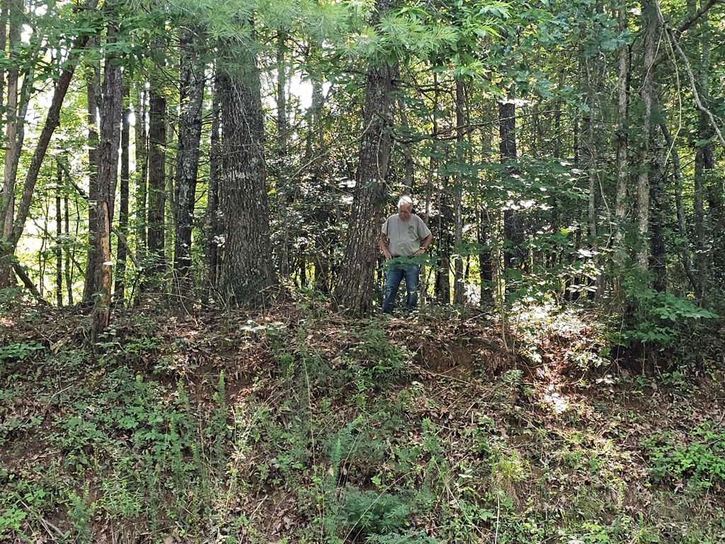 31 Acres Upper Bear Paw Road Property Photo 16