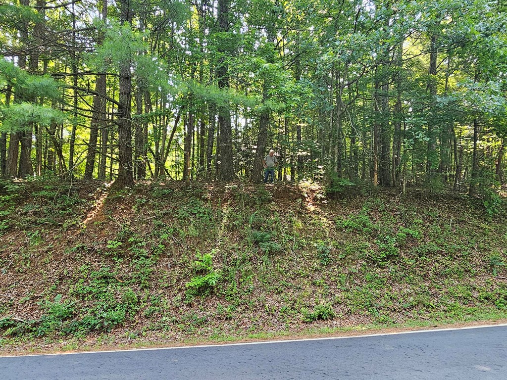 31 Acres Upper Bear Paw Road Property Photo 17