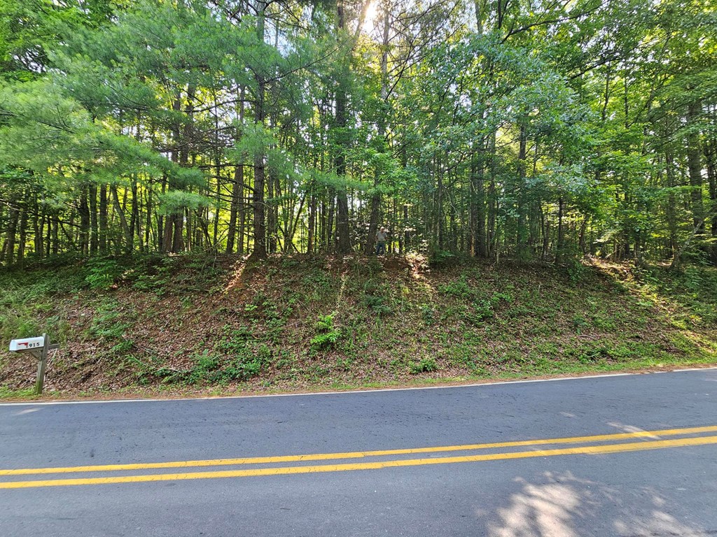 31 Acres Upper Bear Paw Road Property Photo 18