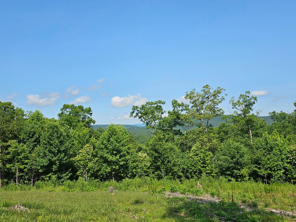 31 Acres Upper Bear Paw Road Property Photo 19