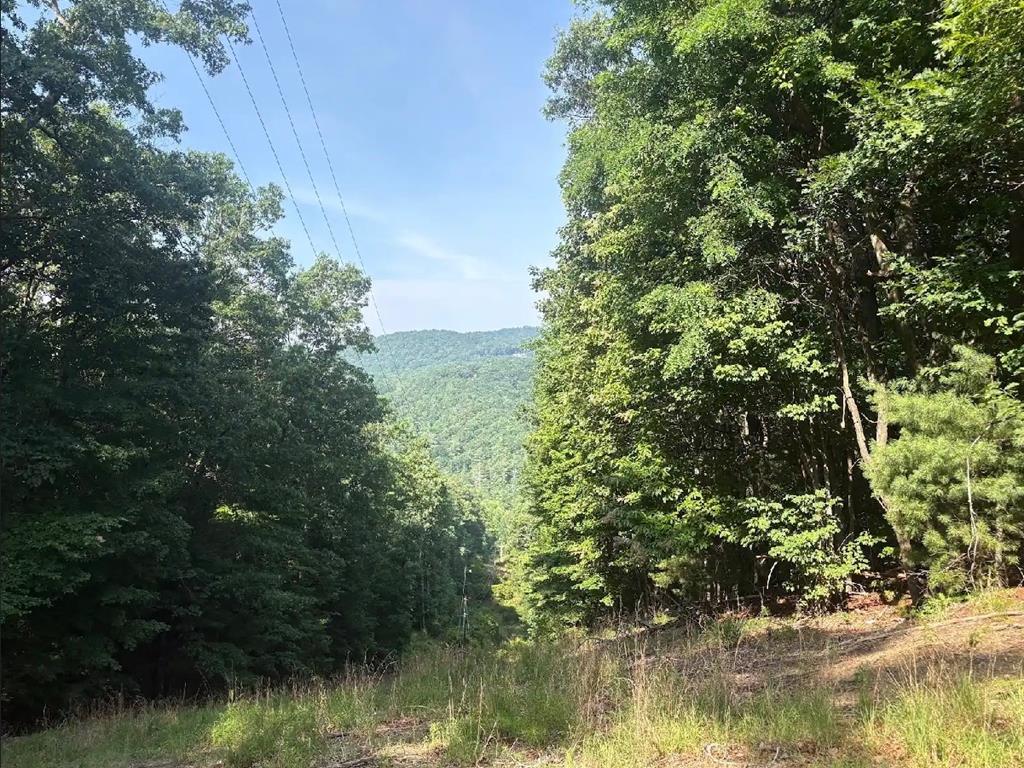 00 Burnt Mountain Property Photo 1