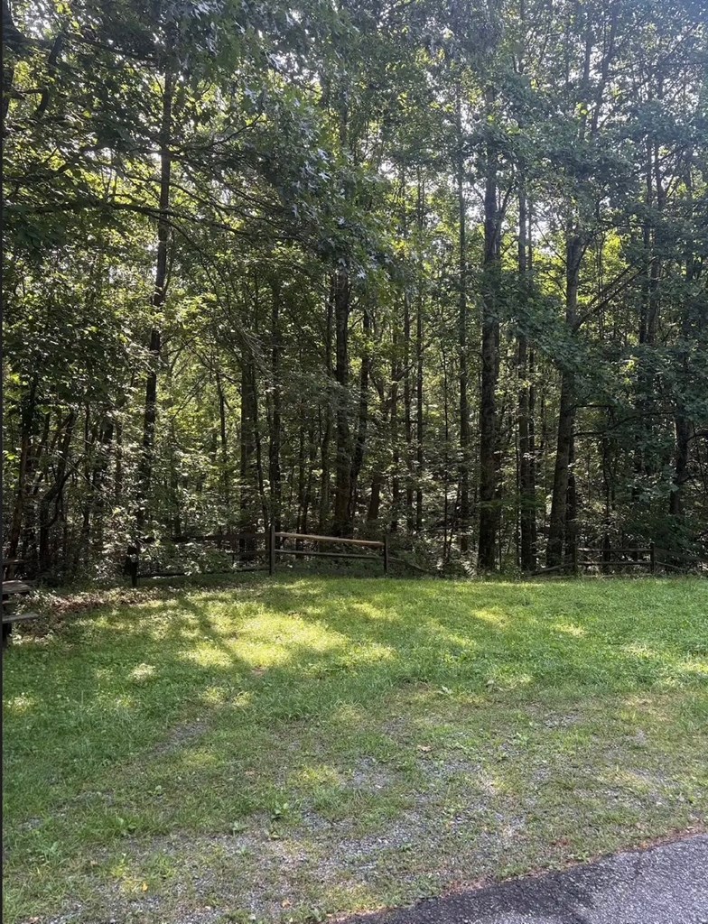 00 Burnt Mountain Property Photo 2