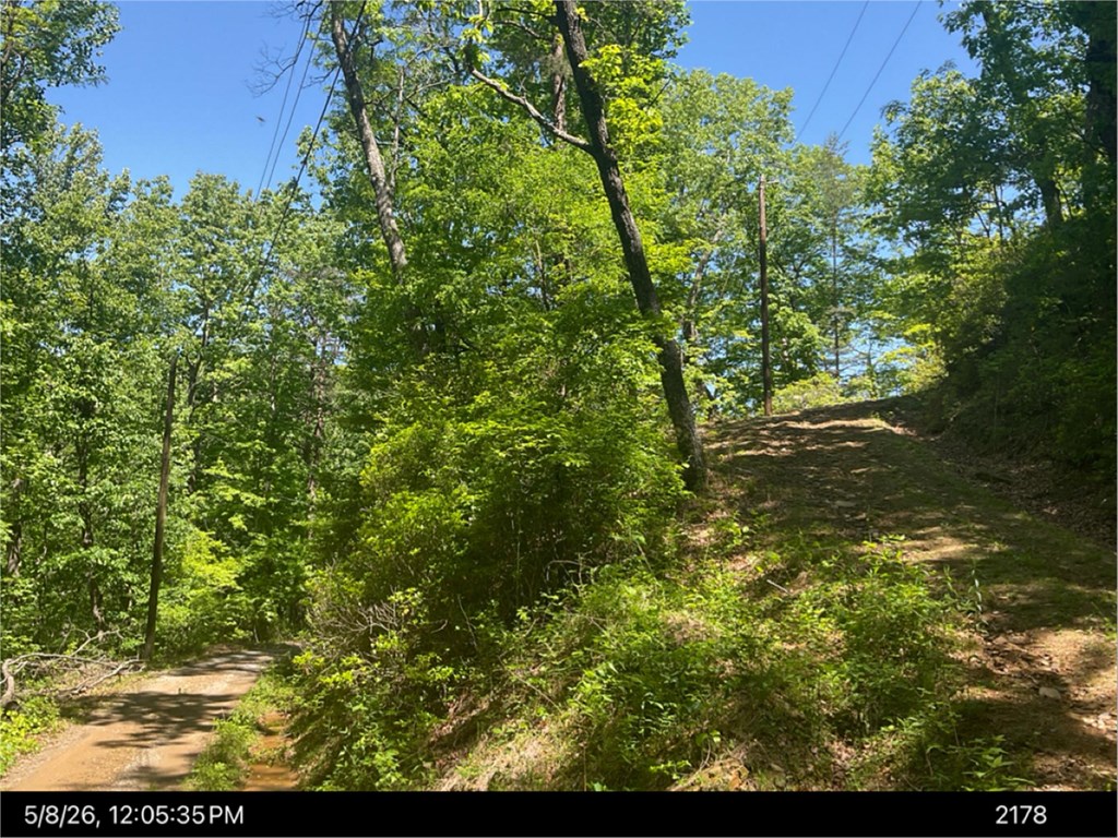 00 Burnt Mountain Property Photo 3