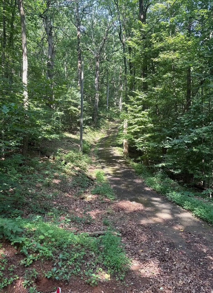 00 Burnt Mountain Property Photo 4
