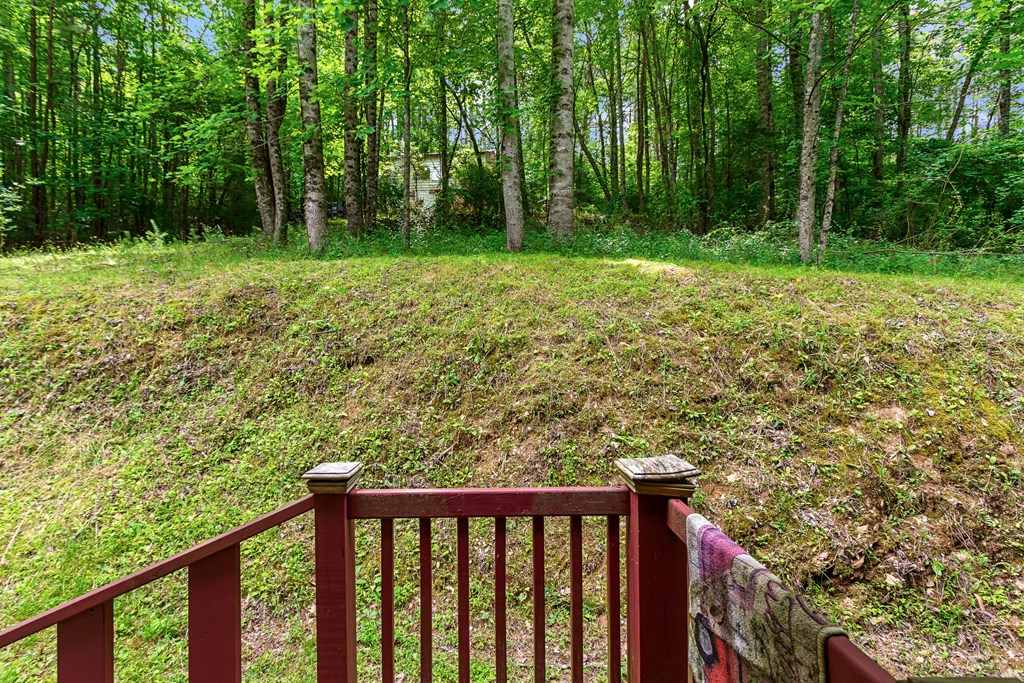 60 Fleming Street Property Photo 28