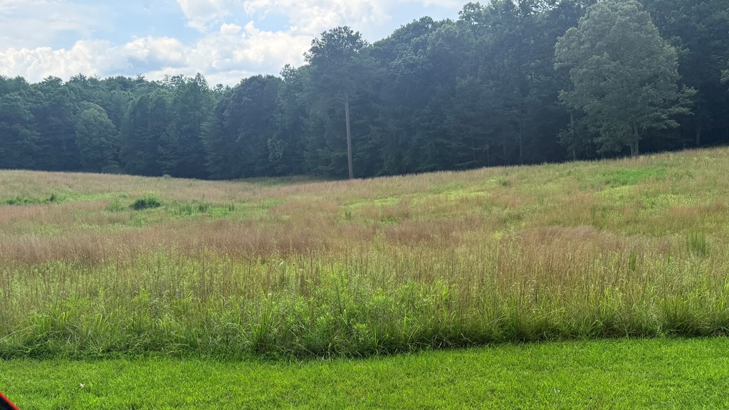 Lt 6 Spring Camp Road Property Photo 3