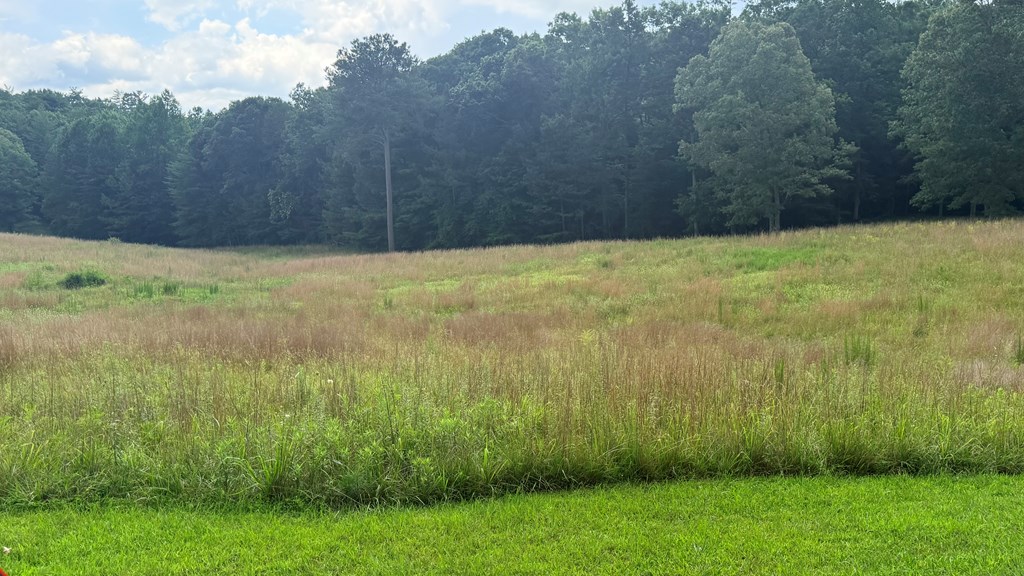 Lt 6 Spring Camp Road Property Photo 6
