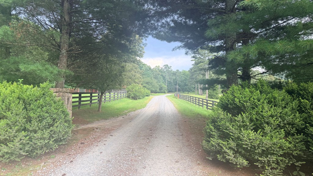 Lt 6 Spring Camp Road Property Photo 10