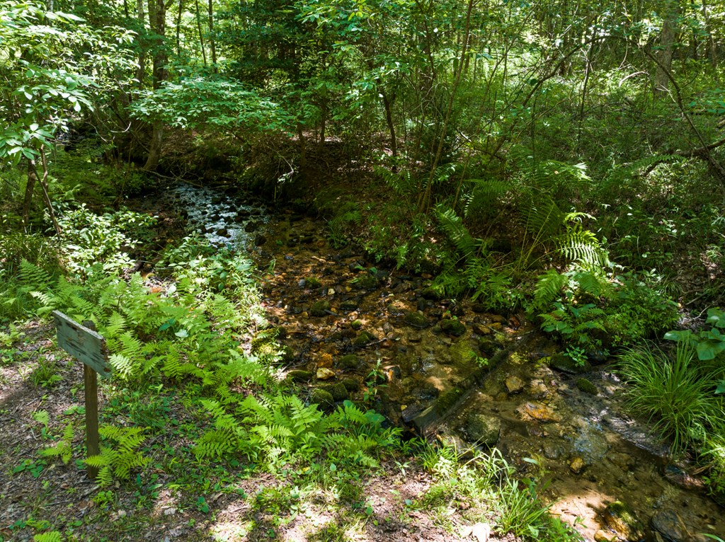 135 The Builders Hill Property Photo 10