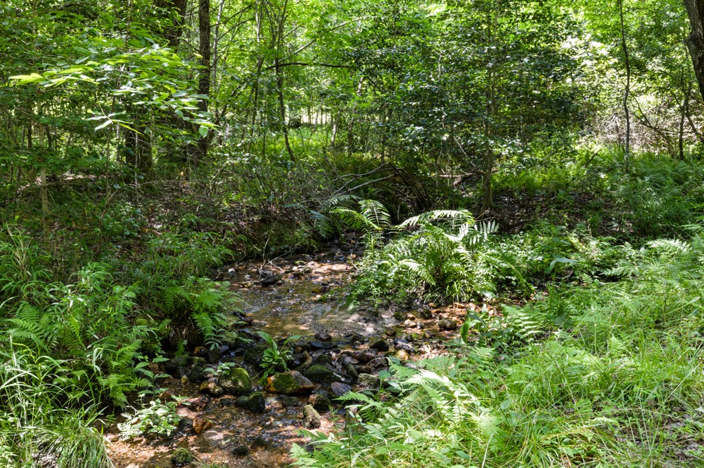 135 The Builders Hill Property Photo 29