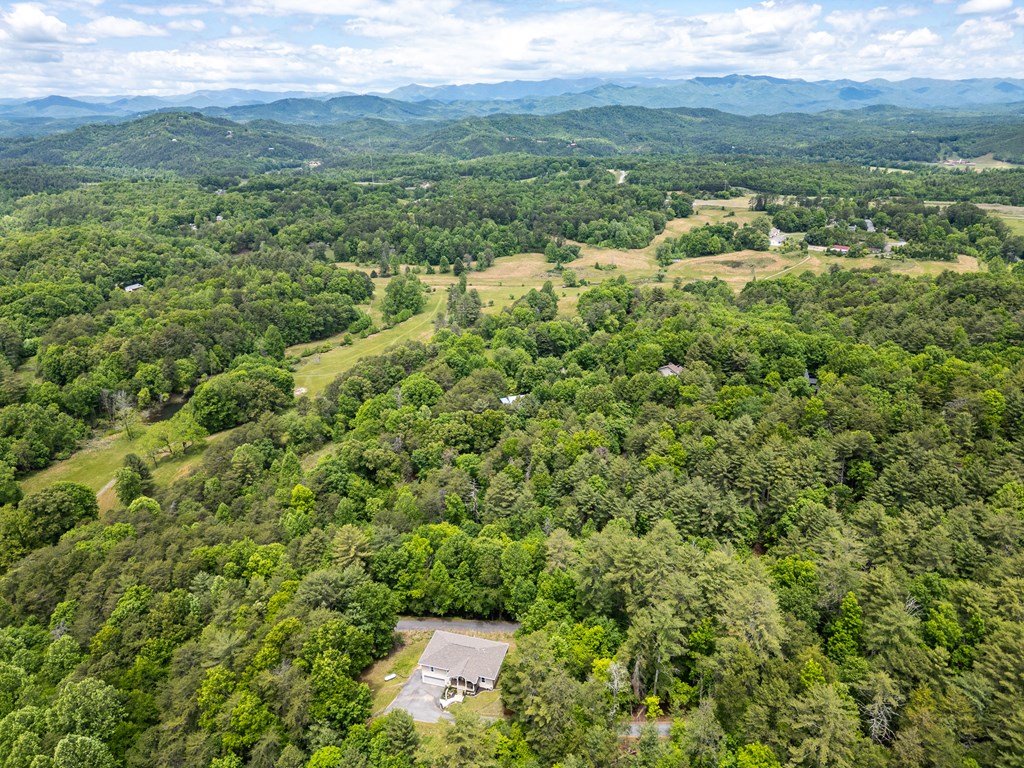 1110 Poor House Mountain Trail Property Photo 58