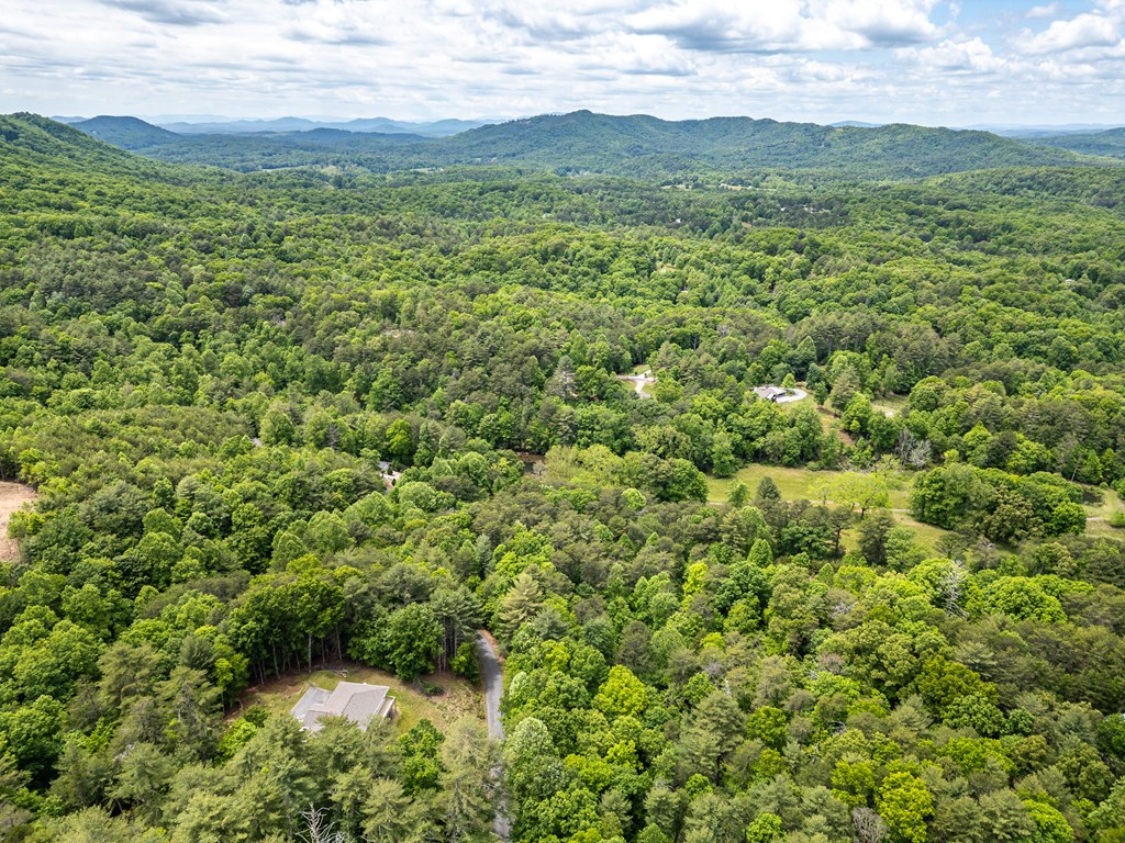 1110 Poor House Mountain Trail Property Photo 60