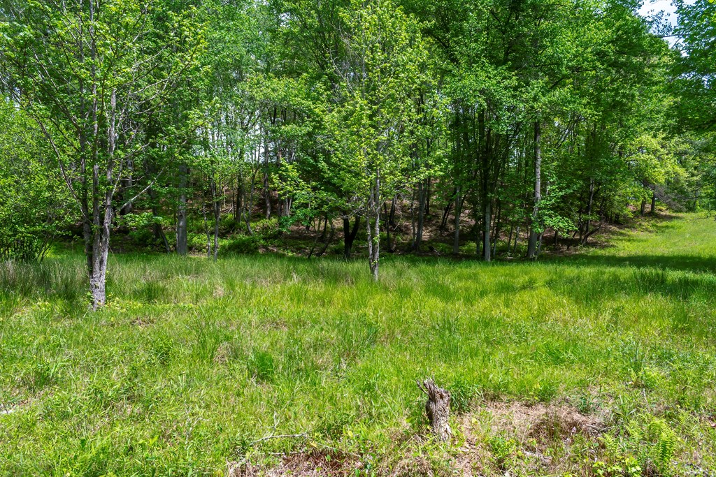 Lot 5-5a Waterstone Way Property Photo 6