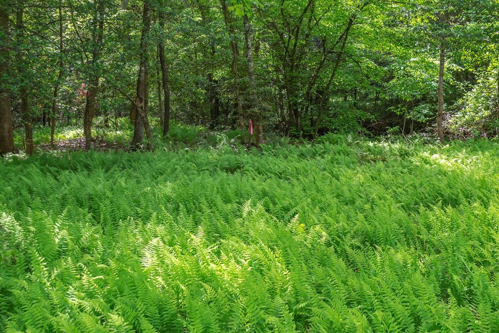 Lot 5-5a Waterstone Way Property Photo 15