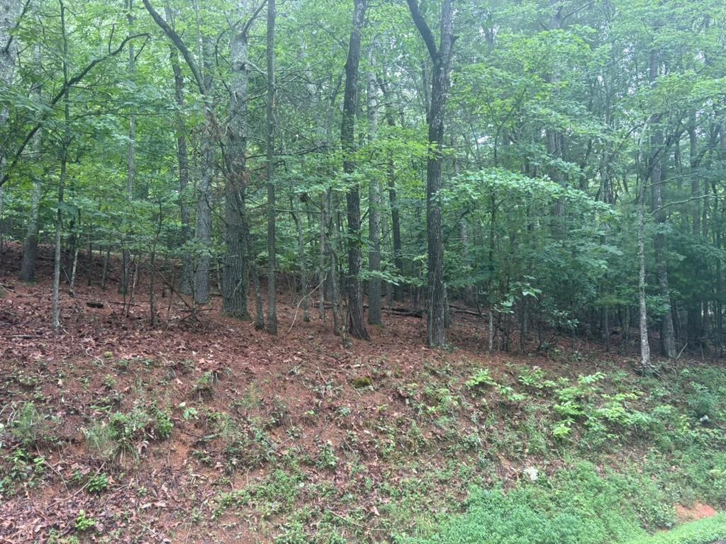 99 Nelson Circle Property Photo 1
