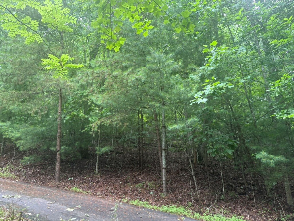 99 Nelson Circle Property Photo 2