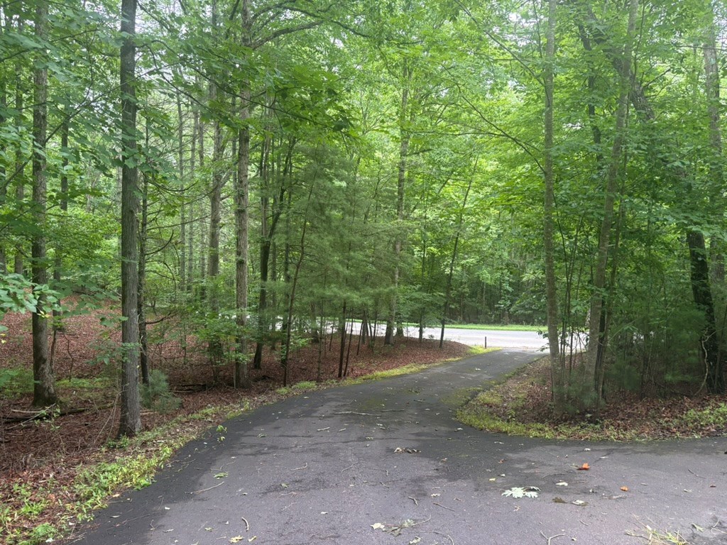99 Nelson Circle Property Photo 3
