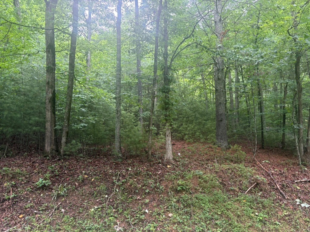 99 Nelson Circle Property Photo 6