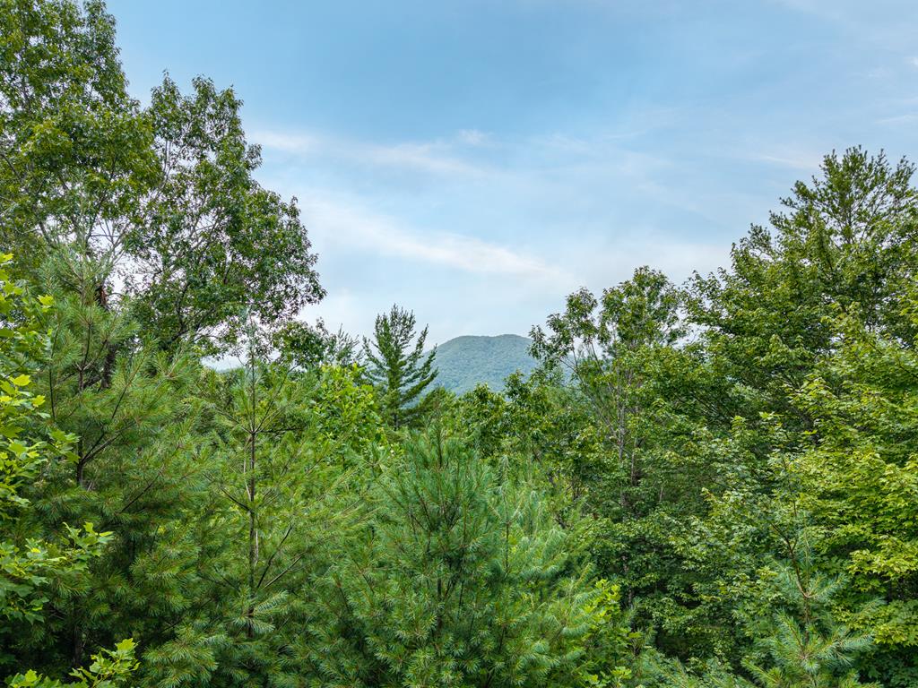 51 Hightower Trail Property Photo 10