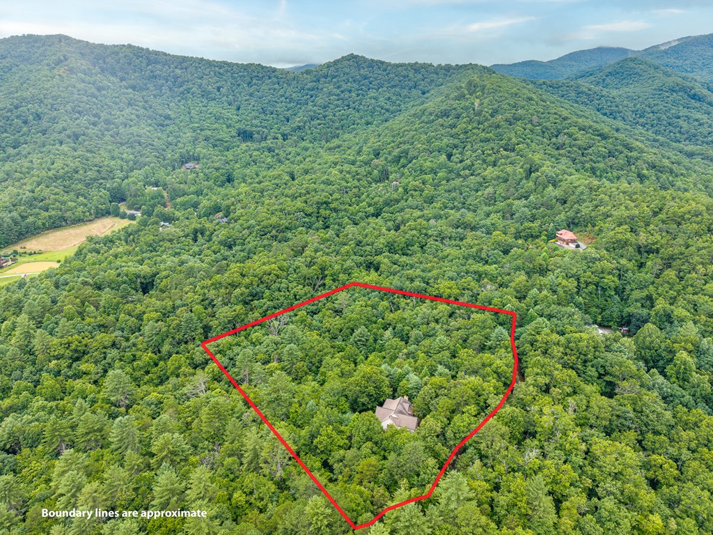 51 Hightower Trail Property Photo 15