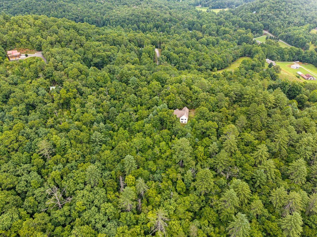 51 Hightower Trail Property Photo 17