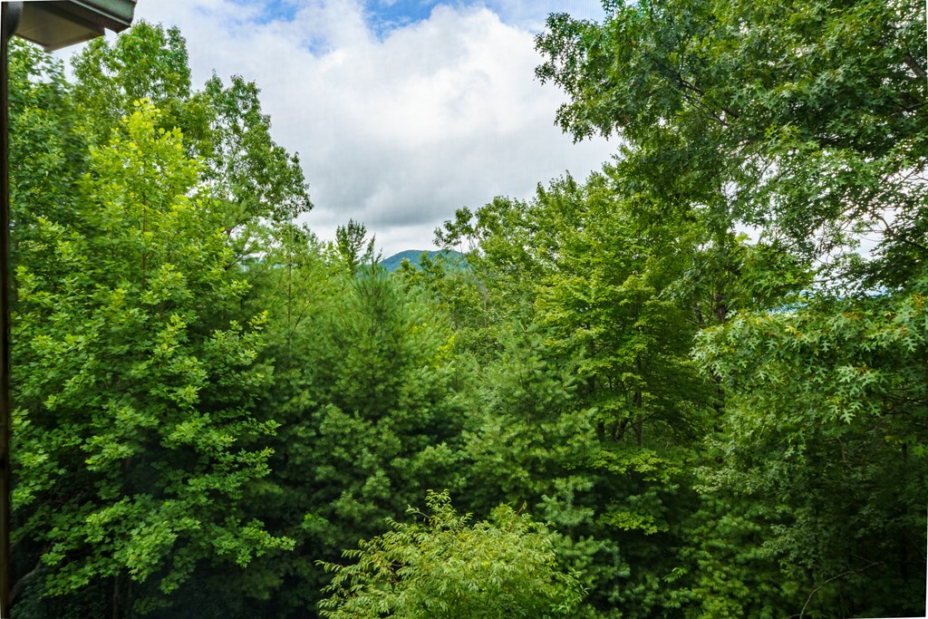 51 Hightower Trail Property Photo 62