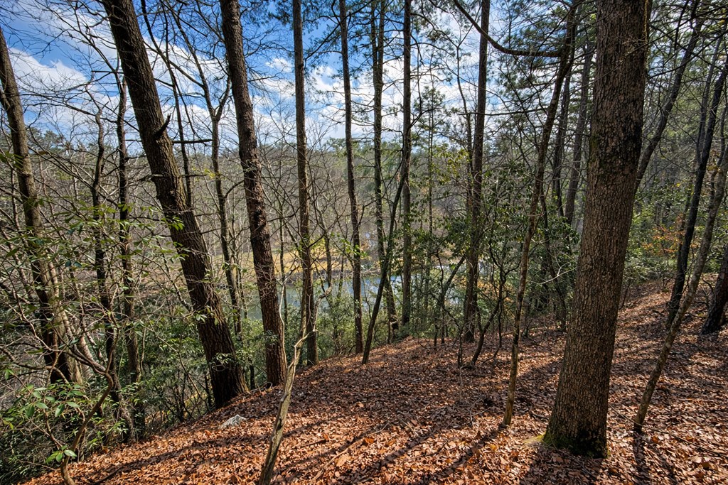0 Hamlet Court Property Photo 18