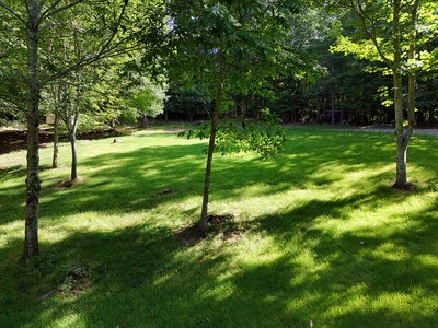 475 Driver Avenue Property Photo 3