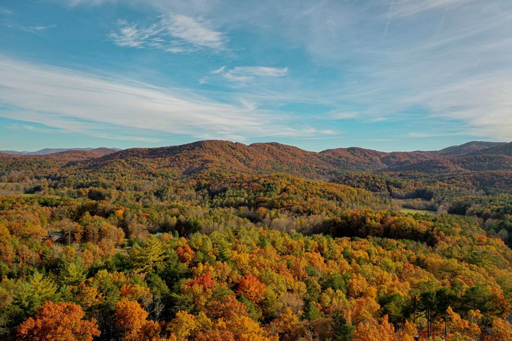 300 Cloudland Trace Property Photo 2