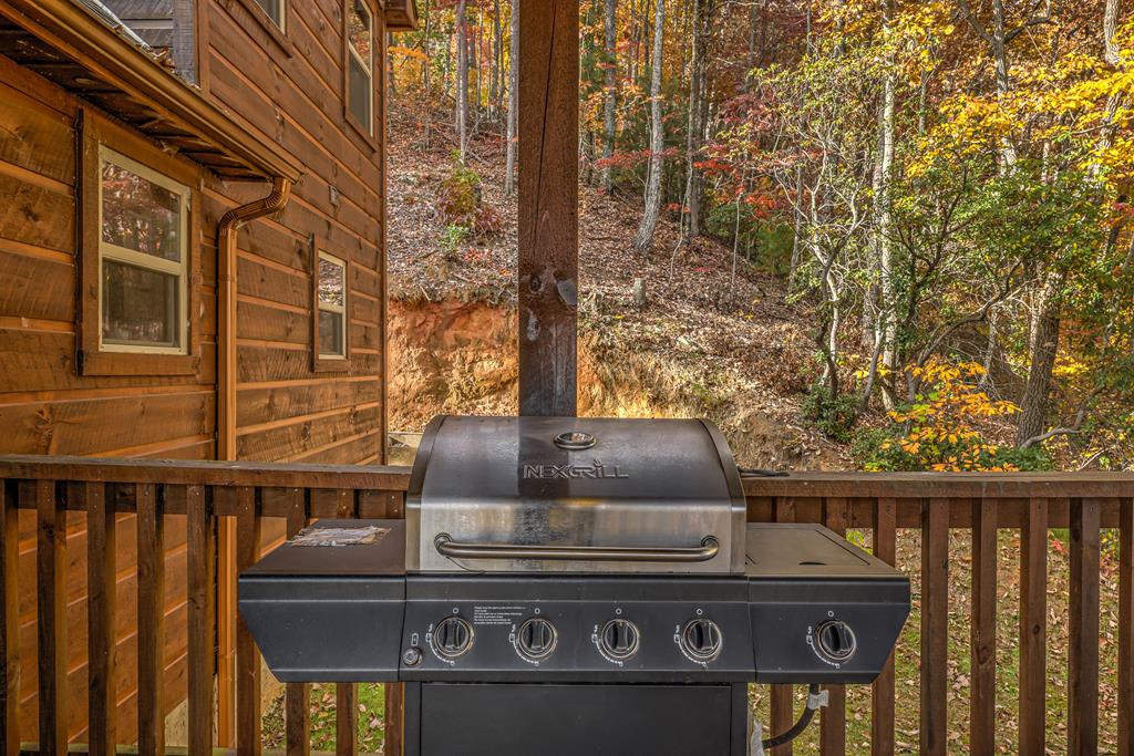 300 Cloudland Trace Property Photo 54