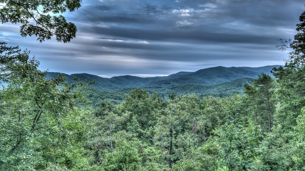 300 Cloudland Trace Property Photo 55