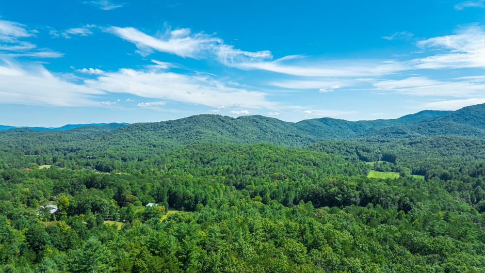 300 Cloudland Trace Property Photo 56
