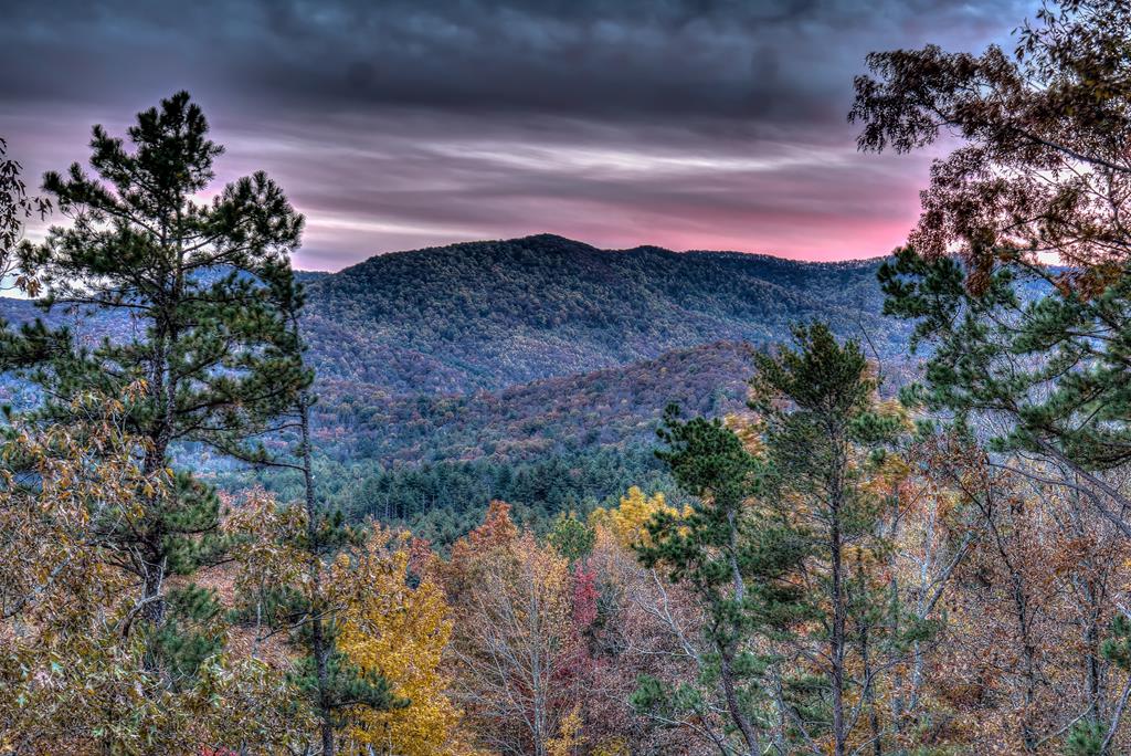 300 Cloudland Trace Property Photo 58