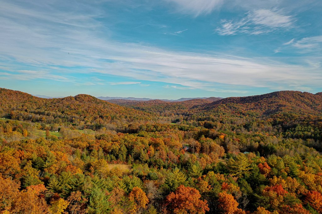 300 Cloudland Trace Property Photo 59