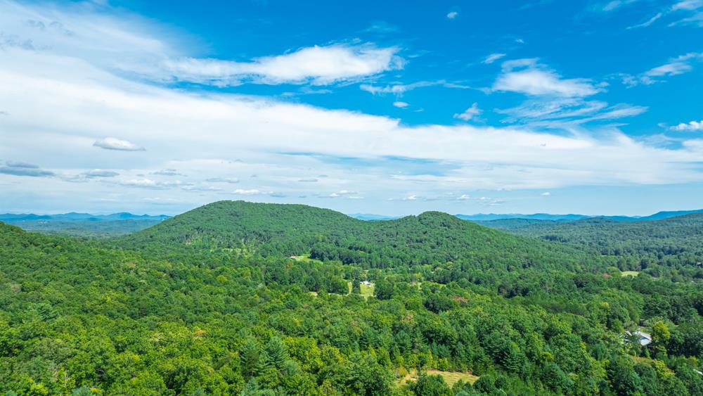 300 Cloudland Trace Property Photo 63