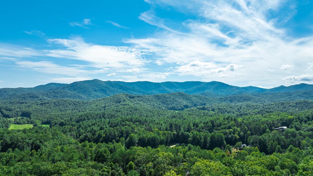 300 Cloudland Trace Property Photo 64