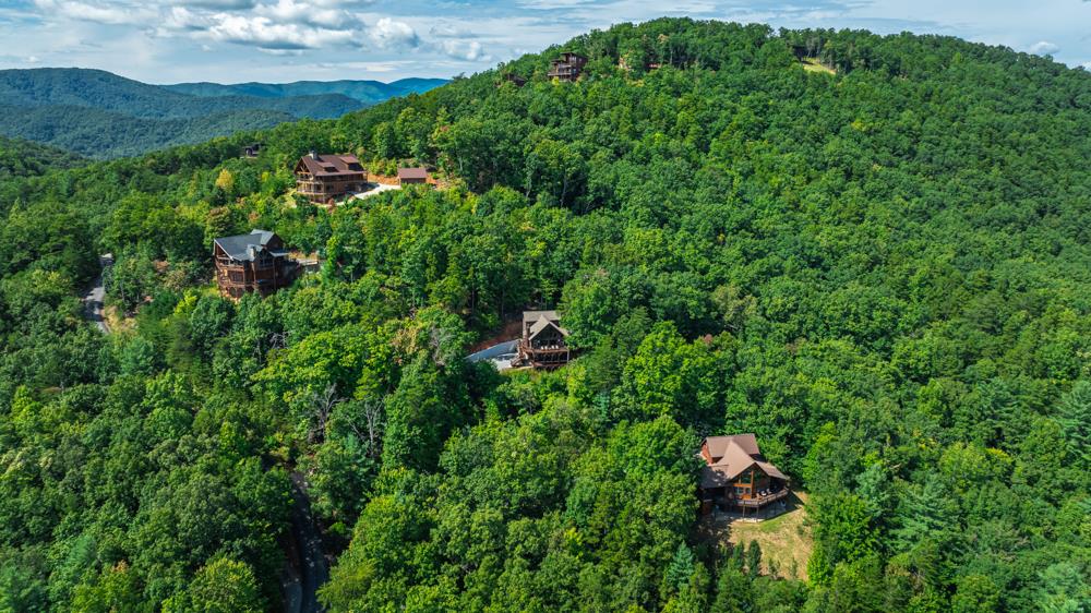 300 Cloudland Trace Property Photo 67