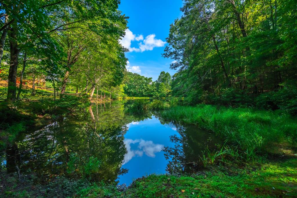 300 Cloudland Trace Property Photo 78