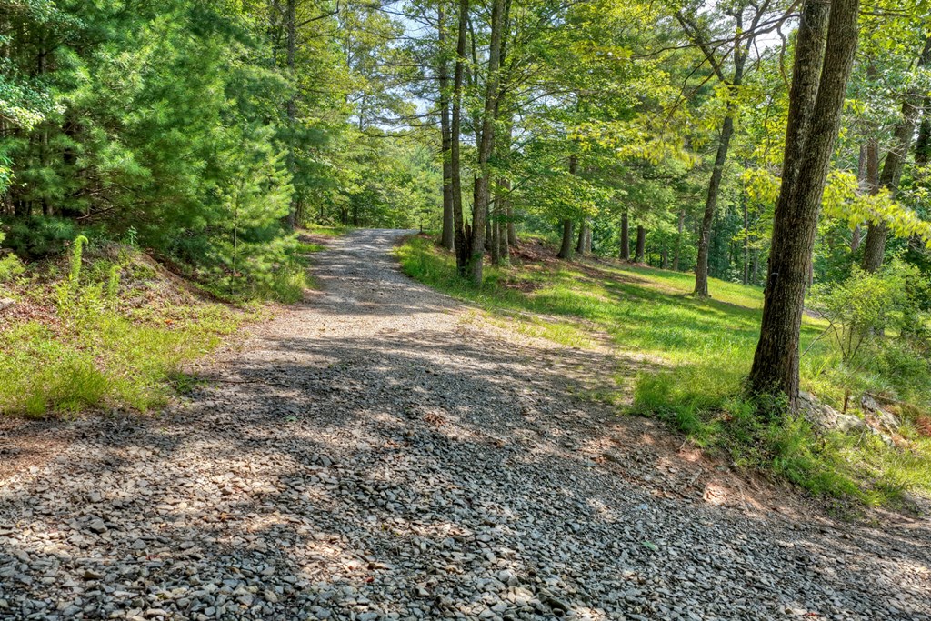 963 Black Ankle Lane Property Photo 3