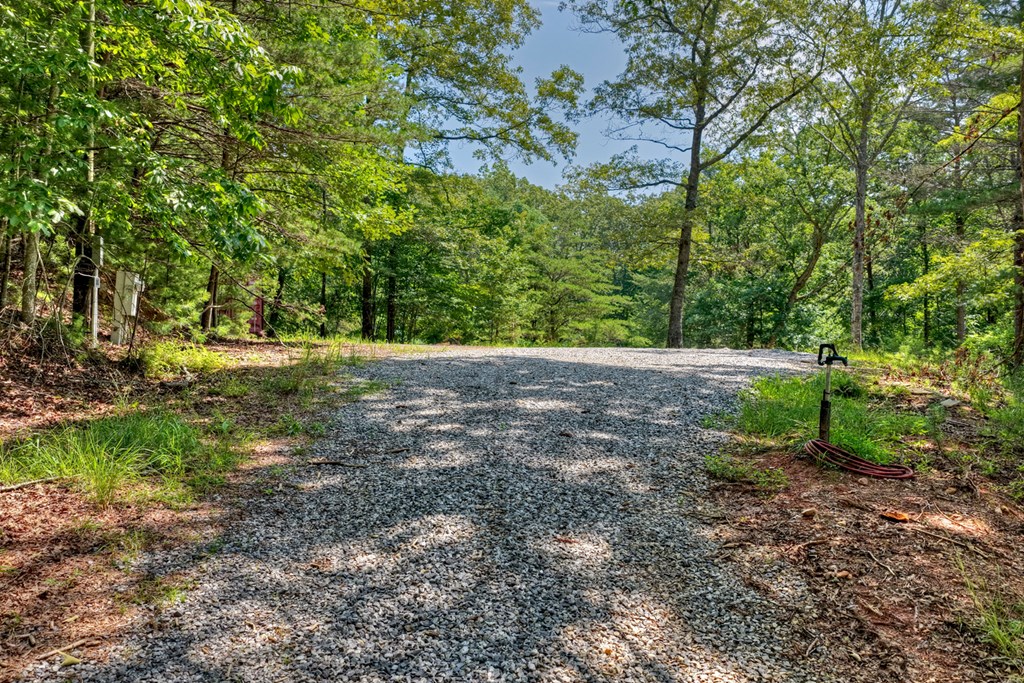 963 Black Ankle Lane Property Photo 4