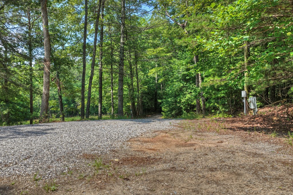 963 Black Ankle Lane Property Photo 6