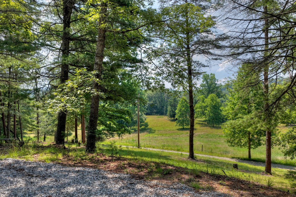 963 Black Ankle Lane Property Photo 7
