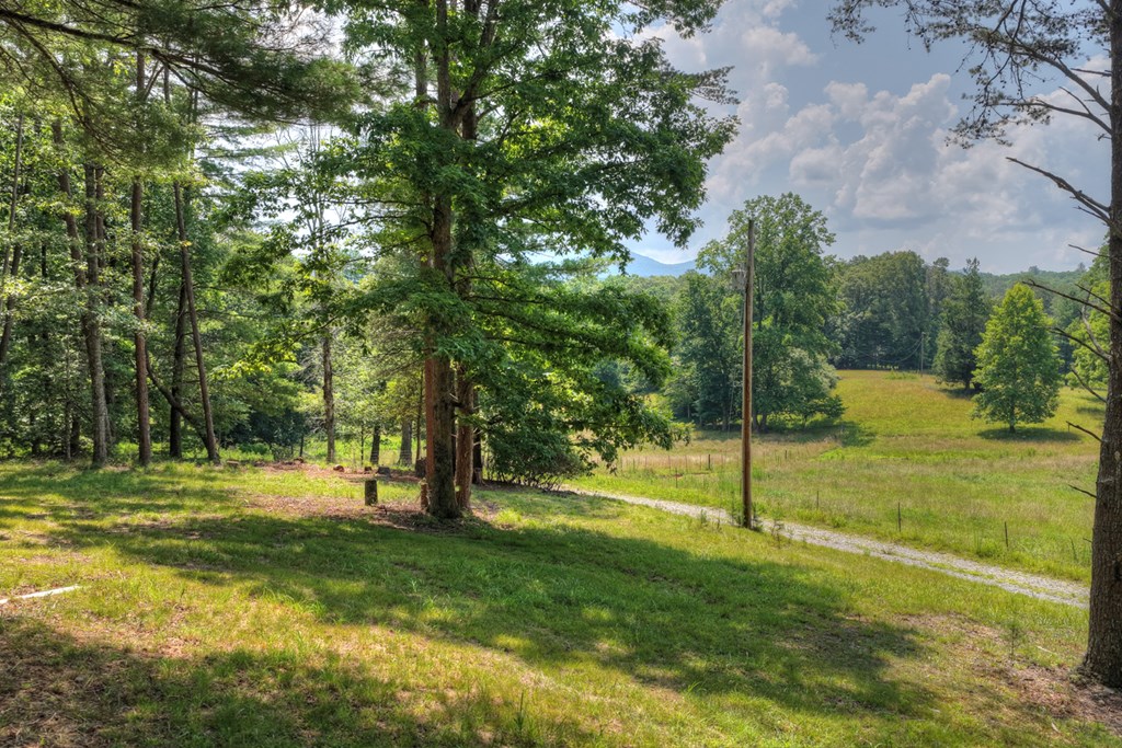 963 Black Ankle Lane Property Photo 8