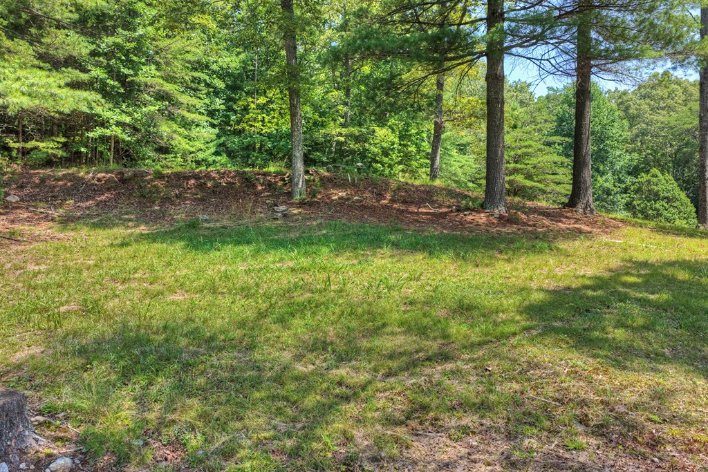 963 Black Ankle Lane Property Photo 10