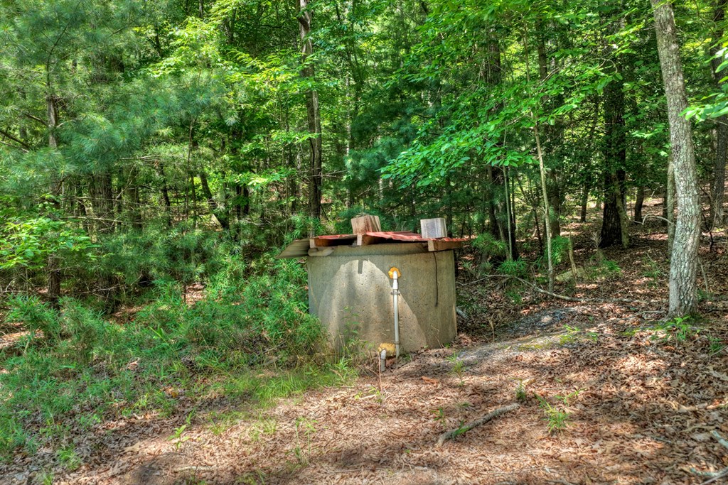 963 Black Ankle Lane Property Photo 11