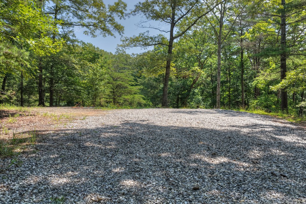 963 Black Ankle Lane Property Photo 12