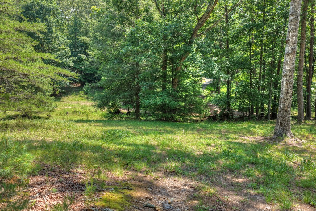 963 Black Ankle Lane Property Photo 13