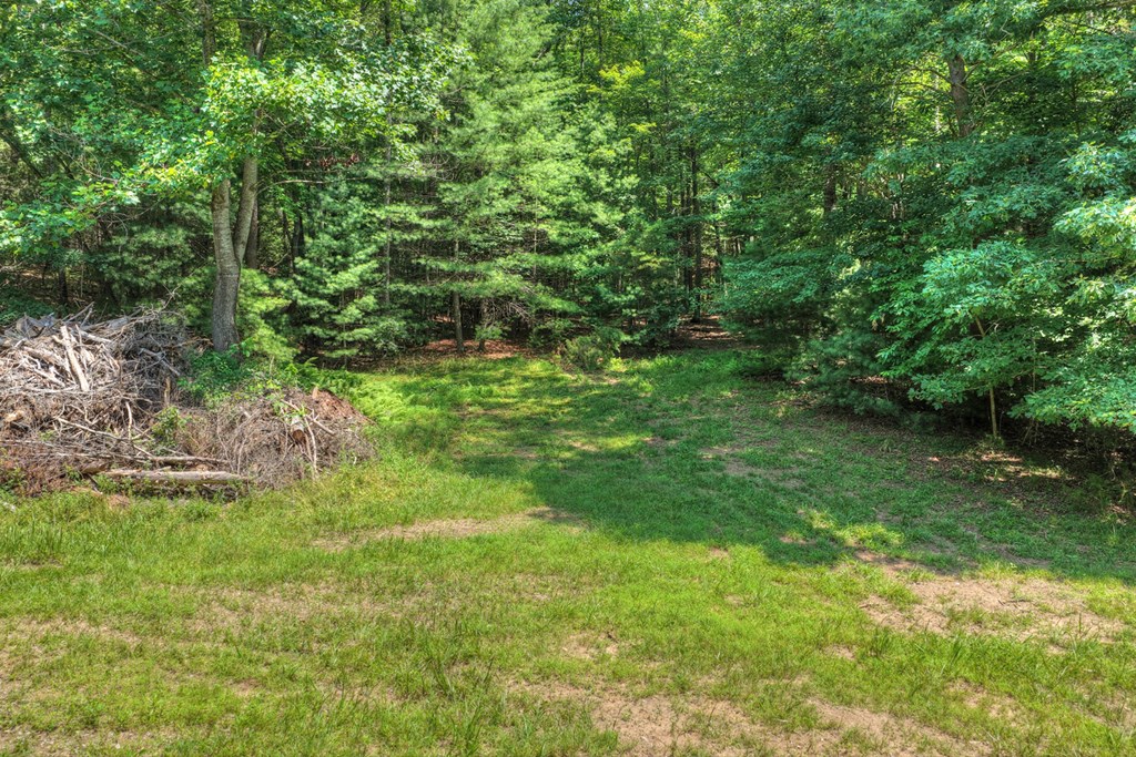 963 Black Ankle Lane Property Photo 14